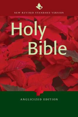 NRSV Popular Text Edition NR530:T: Anglicised Edition (Hardback)