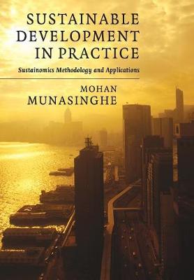 Sustainable Development in Practice: Sustainomics Methodology and Applications (Paperback)