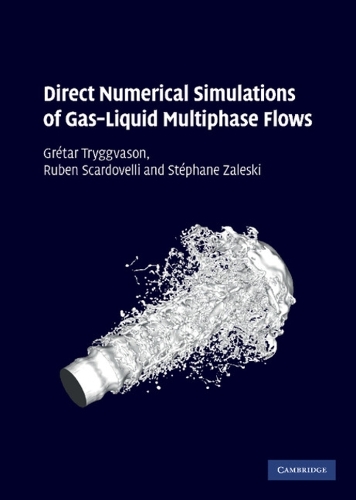 Direct Numerical Simulations of Gas-Liquid Multiphase Flows (Hardback)