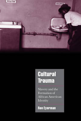 Cambridge Cultural Social Studies: Cultural Trauma: Slavery and the Formation of African American Identity (Hardback)