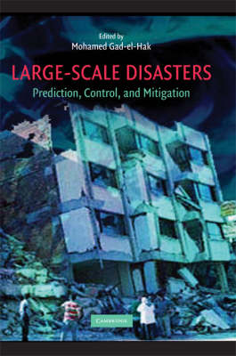 Large-Scale Disasters: Prediction, Control, and Mitigation (Hardback)