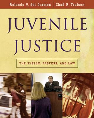 Cover Juvenile Justice: The System, Process and Law