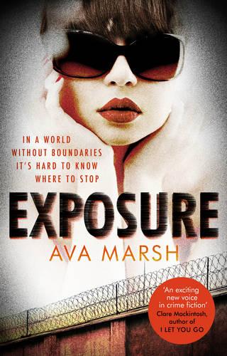 Exposure: The Most Provocative Thriller You'll Read All Year (Paperback)