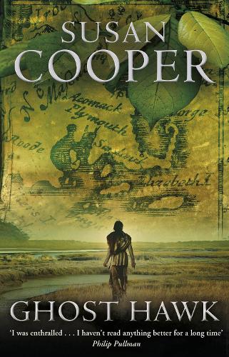 Ghost Hawk (Paperback)