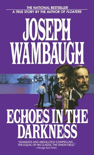 Echoes In The Darkness (Paperback)