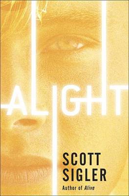Alight (Hardback)