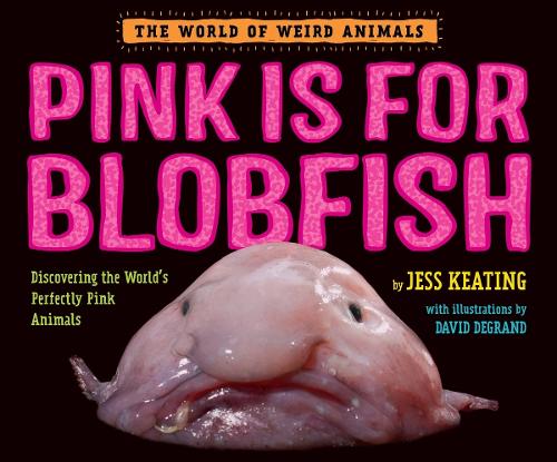 Pink Is For Blobfish: Discovering the World's Perfectly Pink Animals (Hardback)