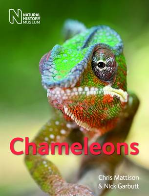 The Natural History Museum Chameleons