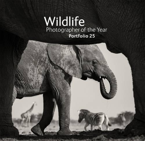 写真集 Wildlife Photographer of the Year 6冊 写真集 Wildlife Photographer of the Year 6冊 写真集 Wildlife