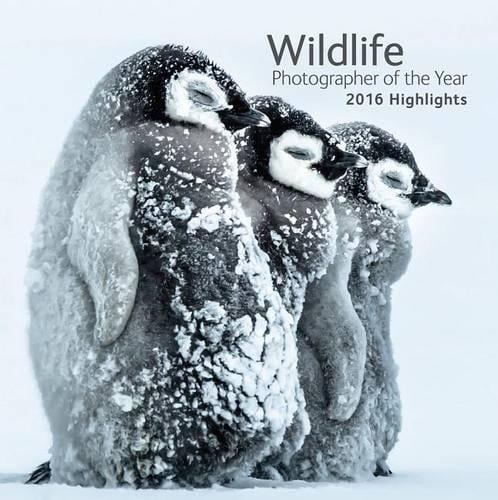 Wildlife Photographer of the Year: 2016 Highlights (Paperback)