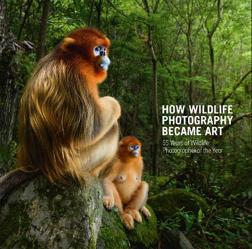写真集 Wildlife Photographer of the Year 6冊 Wildlife Photographer of the Year: Portfolio 34 (34): Wilson
