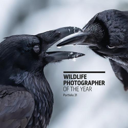 Wildlife Photographer of the Year: Portfolio 31 (Hardback)