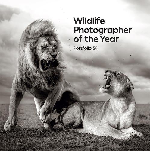 60 Years of Wildlife Photographer of the Year | Waterstones