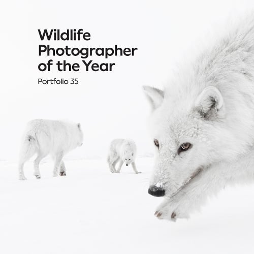 Wildlife Photographer of the Year: Portfolio 35 by Keith Wilson