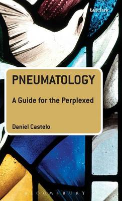 Cover Pneumatology: A Guide for the Perplexed