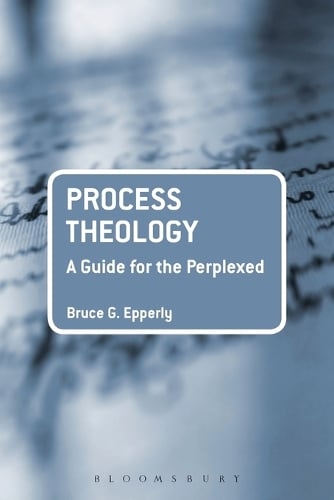 Process Theology: A Guide for the Perplexed - Guides for the Perplexed (Paperback)