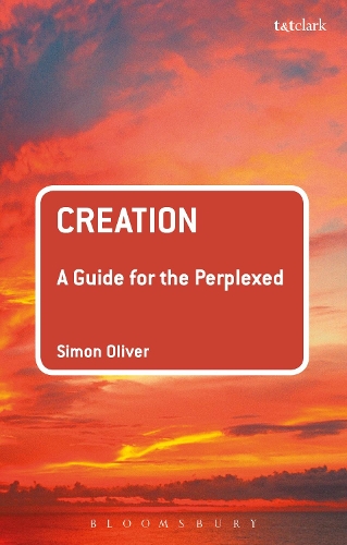 Creation: A Guide for the Perplexed - Guides for the Perplexed (Paperback)