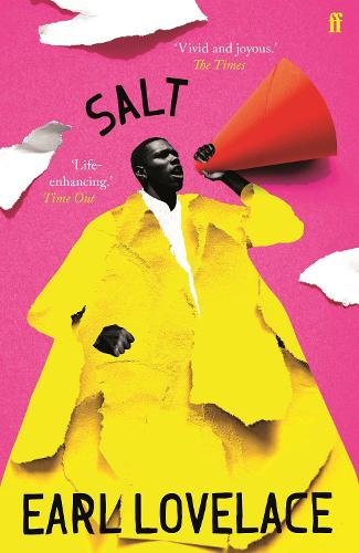 Salt (Paperback)