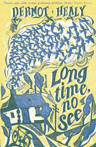 Long Time, No See (Paperback)