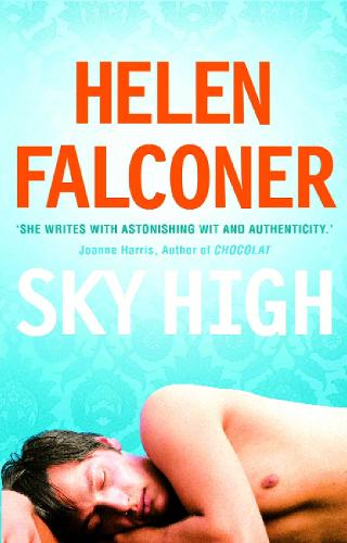 Sky High (Paperback)