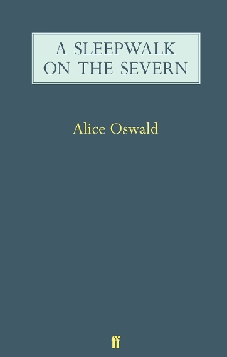 A Sleepwalk on the Severn (Paperback)