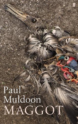 Maggot (Hardback)