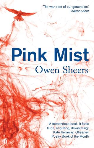 Pink Mist (Paperback)