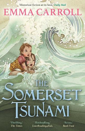 The Somerset Tsunami: 'The Queen of Historical Fiction at her finest.' Guardian (Paperback)