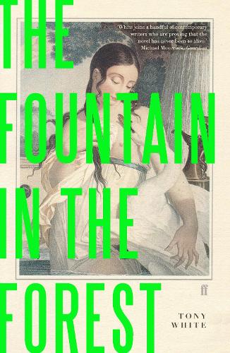 The Fountain in the Forest (Paperback)