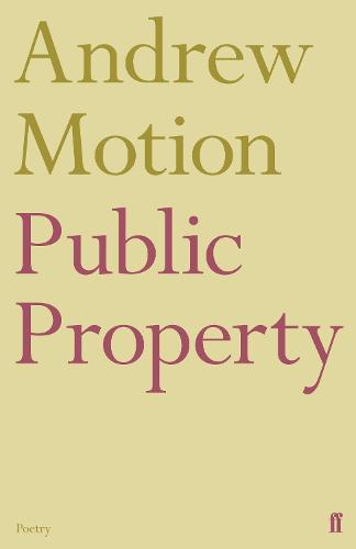 Public Property (Paperback)