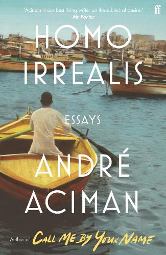 Homo Irrealis (Paperback)