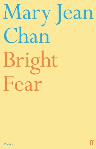 Bright Fear (Paperback)
