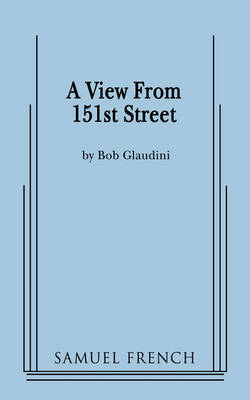 A View From 151st Street (Paperback)
