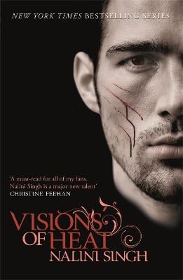 Cover of the book Visions of Heat