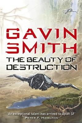 The Beauty of Destruction (Paperback)