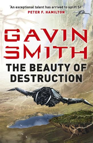The Beauty of Destruction (Paperback)