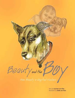 Beauty and the Boy (Paperback)