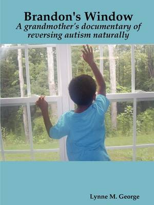 Brandon's Window (Paperback)