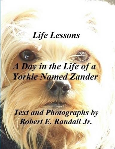 A Day in the Life of a Yorkie Named Zander (Paperback)