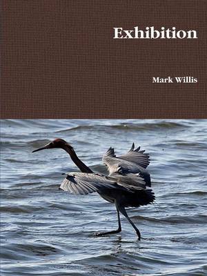 Exhibition (Paperback)