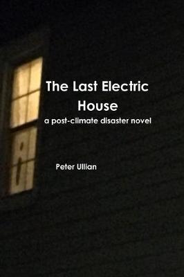 The Last Electric House: a post-climate disaster novel (Paperback)