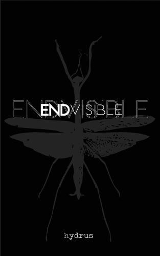 Endvisible (Paperback)