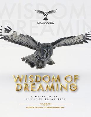 Wisdom of Dreaming: A Guide to an Effective Dream Life (Paperback)
