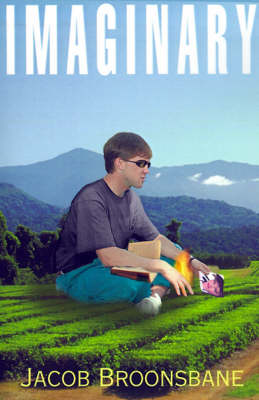Imaginary (Paperback)