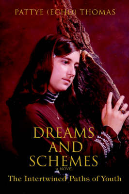 Dreams and Schemes: The Intertwined Paths of Youth (Paperback)