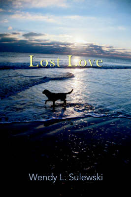 Lost Love (Paperback)