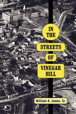 In The Streets Of Vinegar Hill (Paperback)