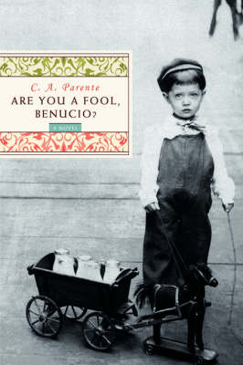 Are You a Fool, Benucio? (Paperback)
