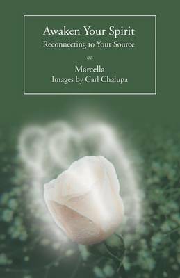 Awaken Your Spirit: Reconnecting to Your Source (Paperback)