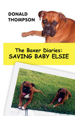 The Boxer Diaries: Saving Baby Elsie (Paperback)